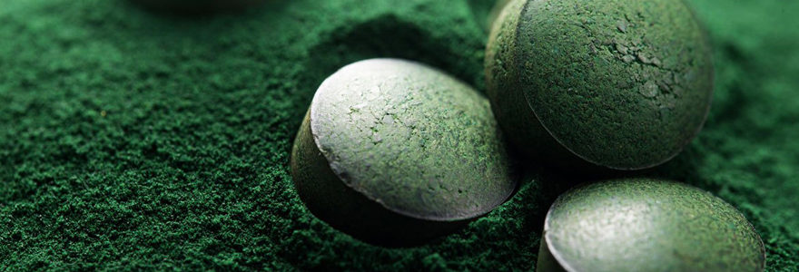 Utiliser la spiruline